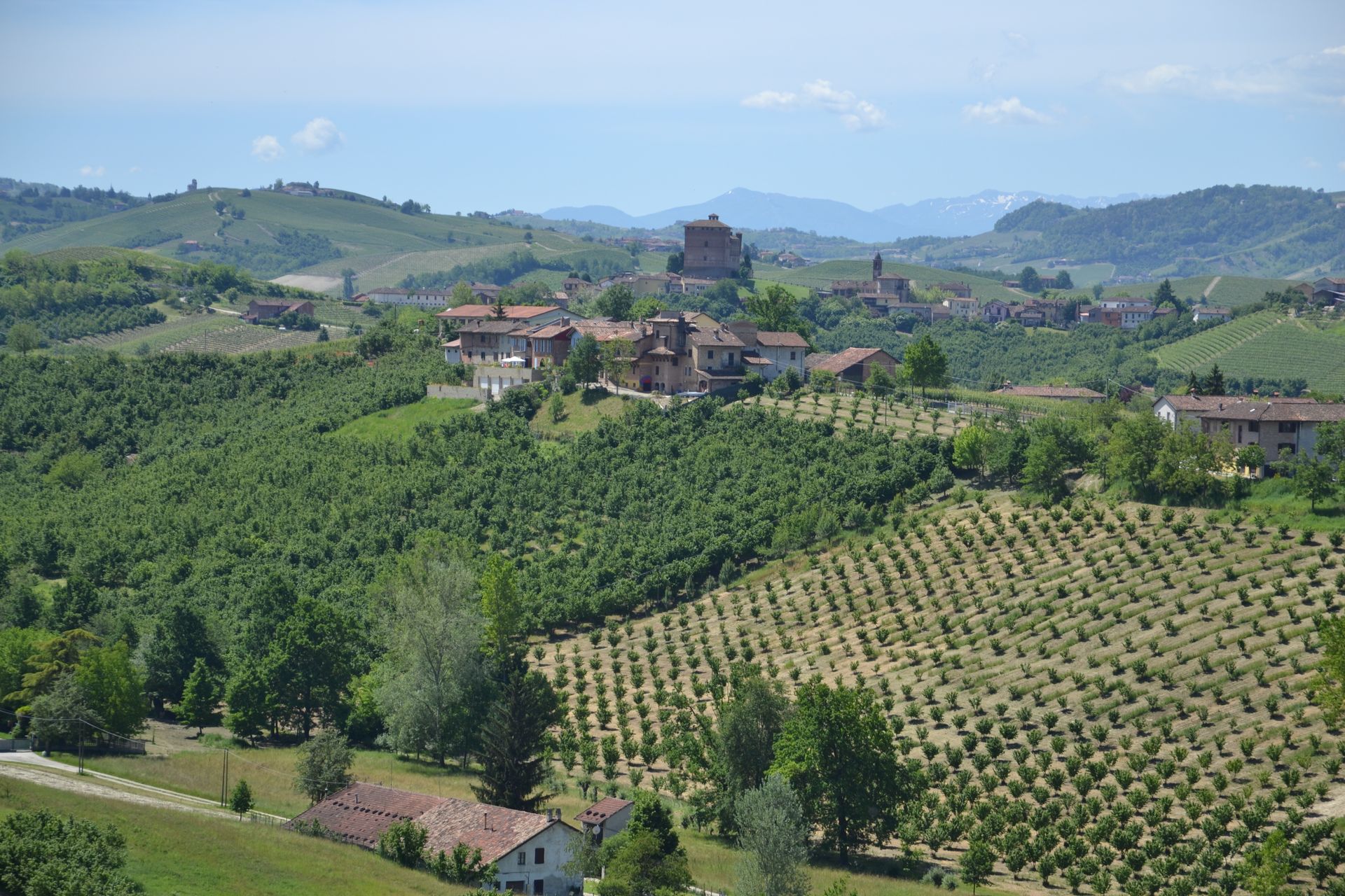 Voci di pietra, immagine del progetto