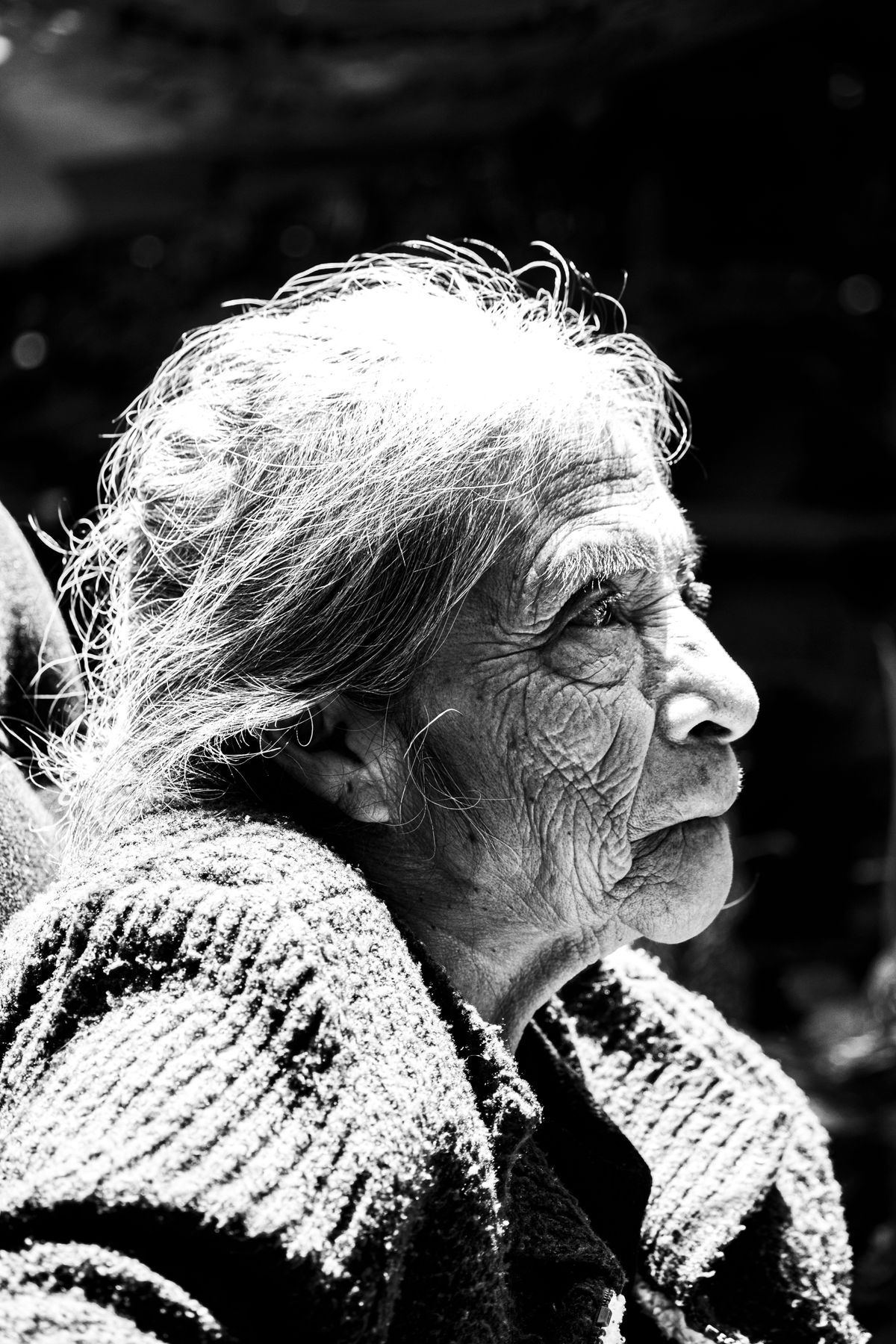Prima che faccia buio, ritratto dell'autrice